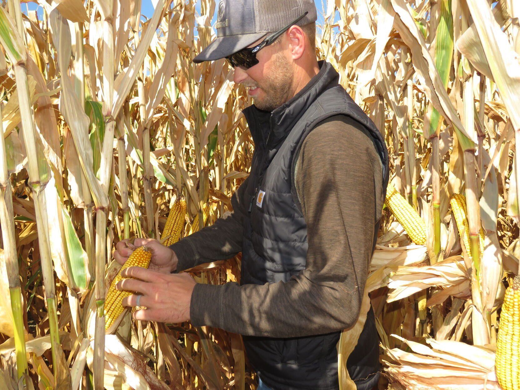 Young Farmer/COPYRIGHT RESTRICTED